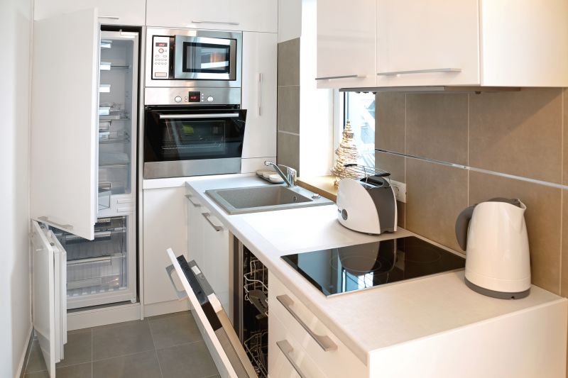 Contemporary Appliance Upgrades